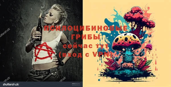 твердый Володарск