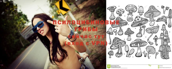 твердый Володарск