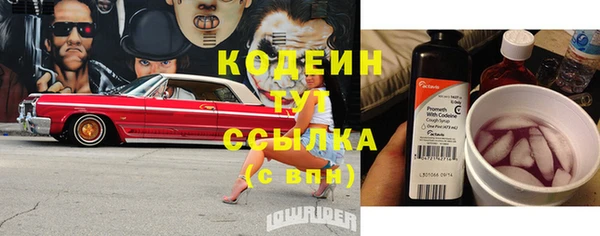 стаф Майский