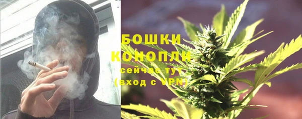 твердый Володарск