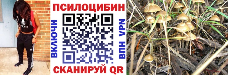 Галлюциногенные грибы GOLDEN TEACHER  Калтан 