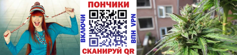 omg рабочий сайт  Калтан  Бошки марихуана сатива 